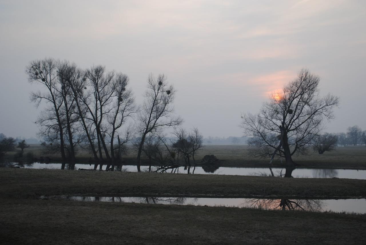 Alter Hof Am Elbdeich Hotel Unbesandten ภายนอก รูปภาพ